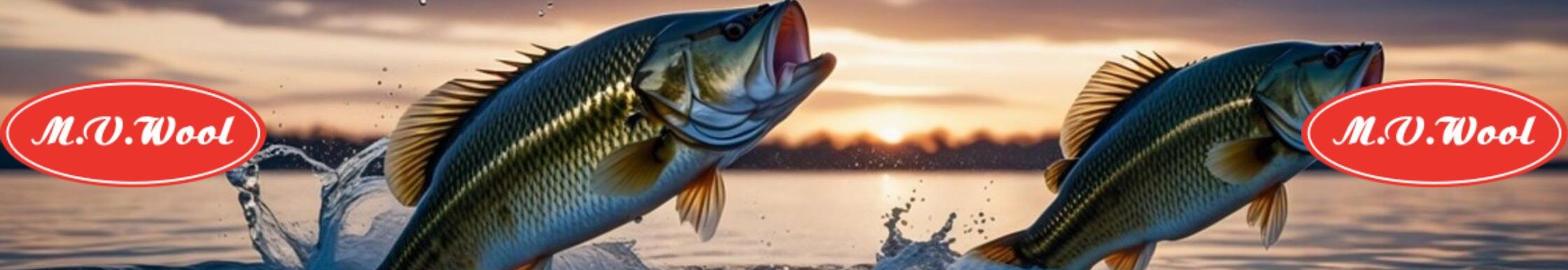 Lõhe juhend banner MVWOOL