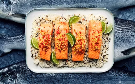 Atlantic salmon. Atlandi lõhe. Lõhe juhend
